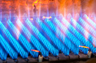 Torran gas fired boilers